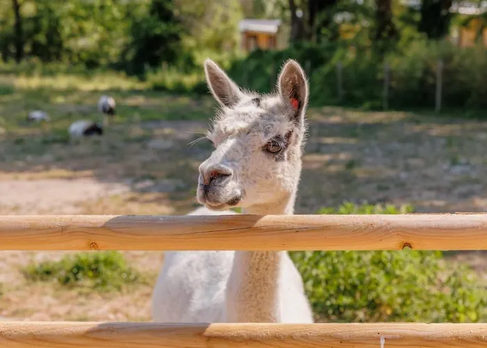 Maeva Escapades Le Joli Camping 4*